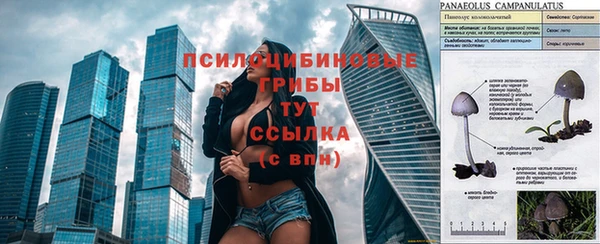 тгк Верея