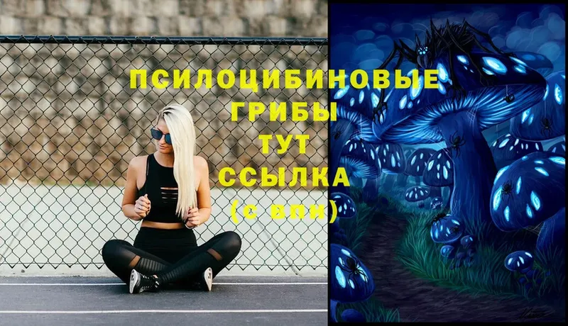 Галлюциногенные грибы ЛСД  купить   OMG рабочий сайт  Беслан 